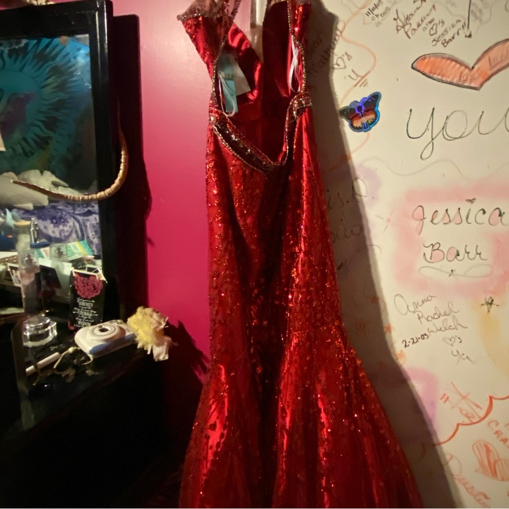 Prom Dress - Picture 3 of 3